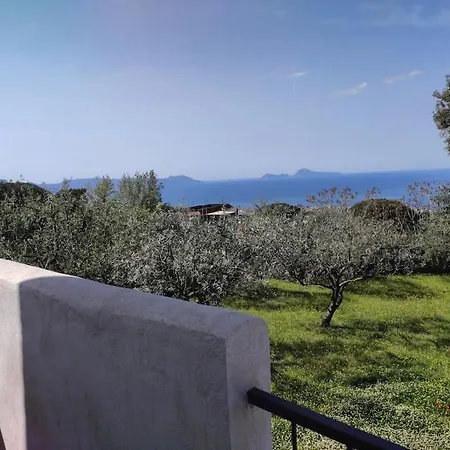 Διαμέρισμα Dimora Degli Ulivi A - Vesuvio *